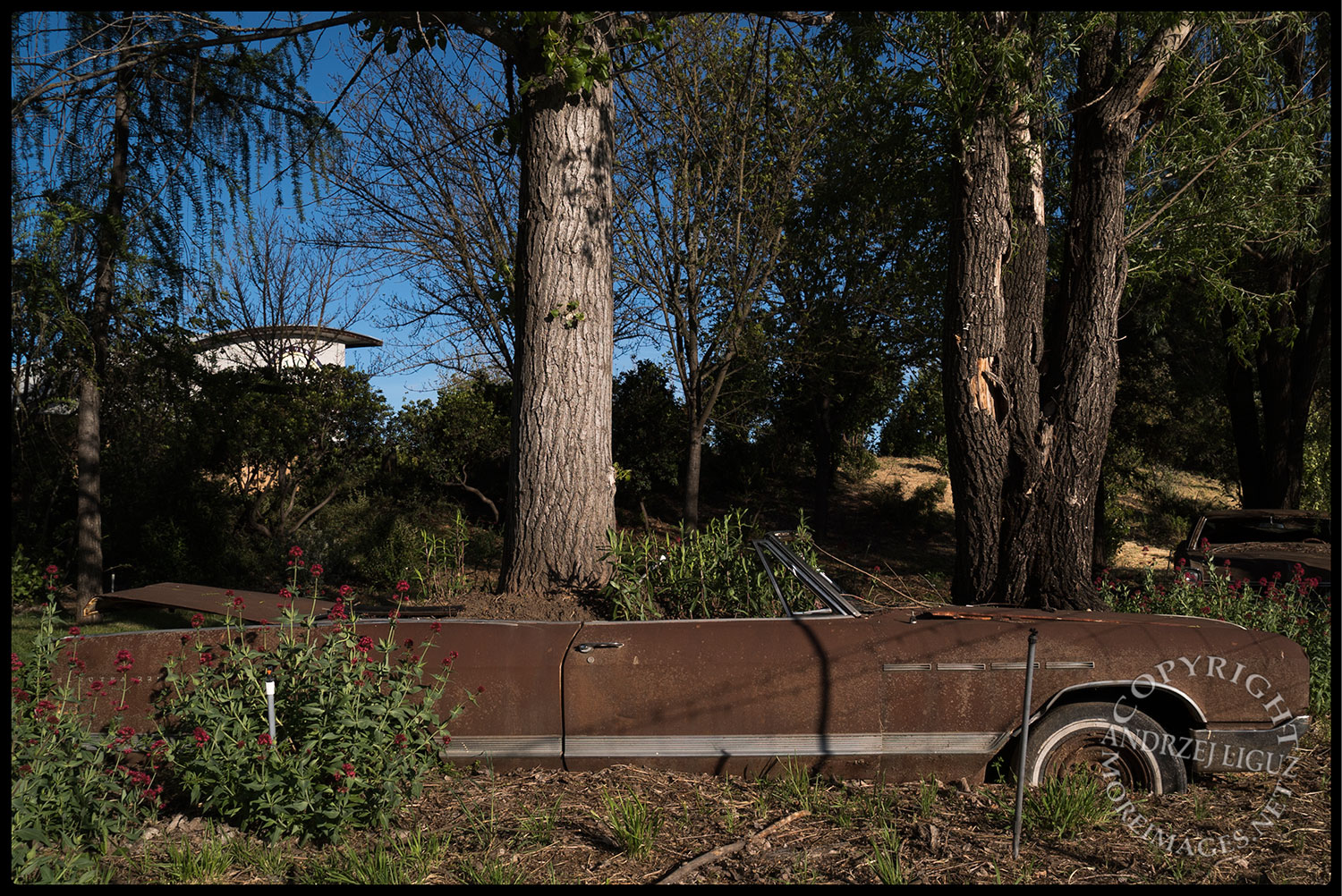 Grow Through Cars, Solar Living Center, Hopland, CA 2015-04-11